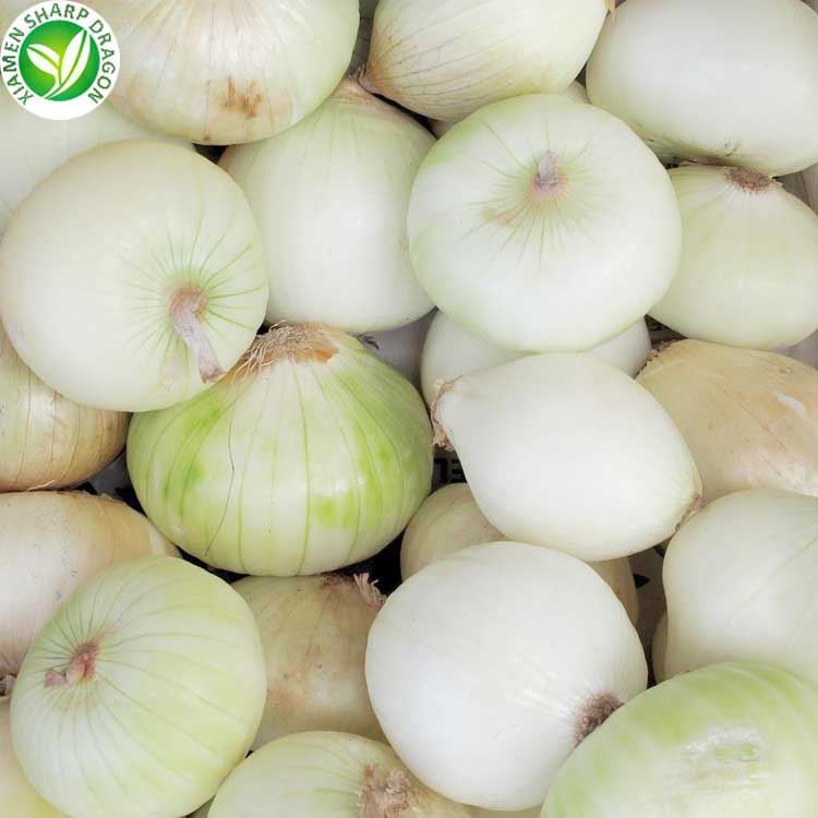 white onions white onions
