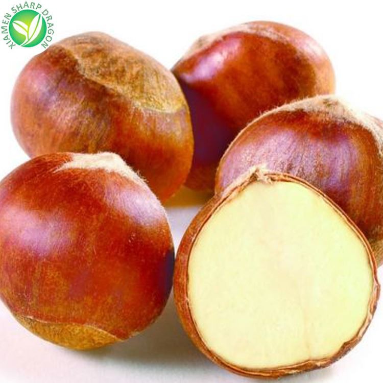 sweet chestnut suppliers