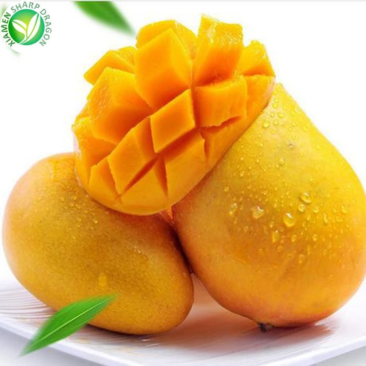 freezing mango cubes freezing mango cubes
