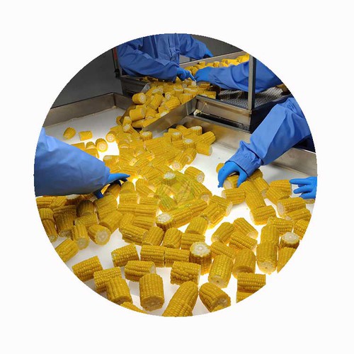 can you grill frozen corn on the cob can you grill frozen corn on the cob