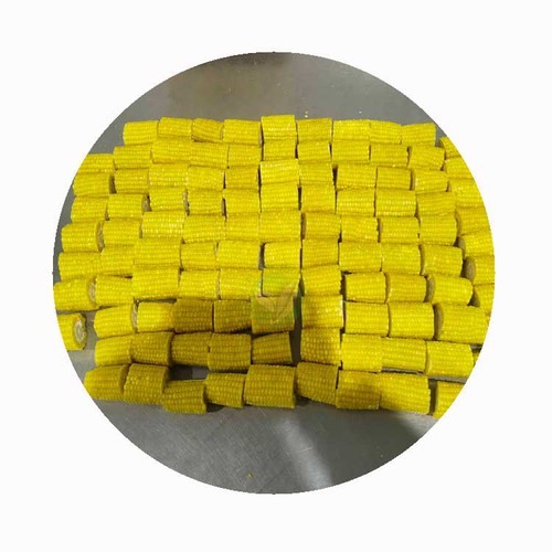 can you cook frozen corn on the grill can you cook frozen corn on the grill