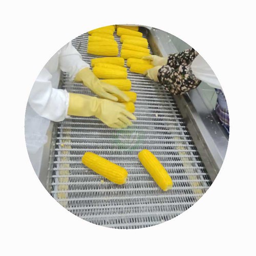 can you put frozen corn on the grill can you put frozen corn on the grill