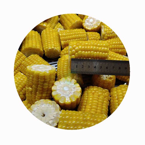 can you bake frozen corn on the cob can you bake frozen corn on the cob