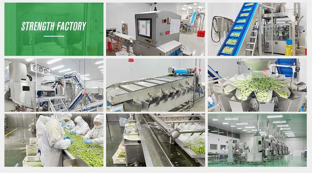 Frozen Corn on the Cob factory Frozen Corn on the Cob factory