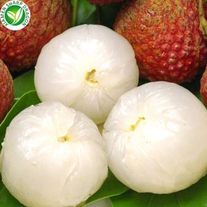 Lychee külmutatud puuvilja viljaliha