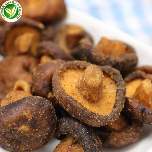 Shiitake'i seente krõpsud