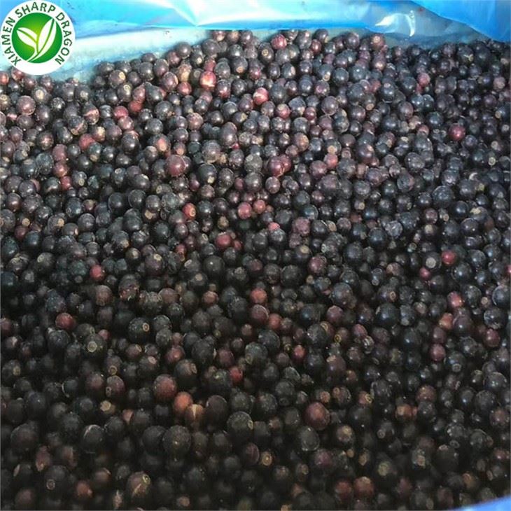 Frozen Blackcurrant Price Per KG