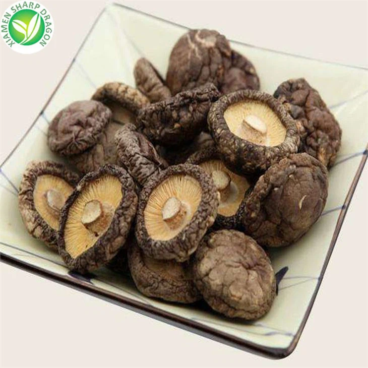 Shiitake Mushroom Seller
